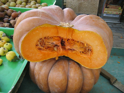 Kürbis Citrouille