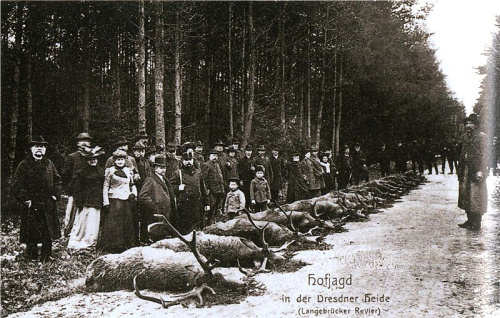 König Albert I. Hofjagd, der König ganz  links.