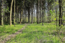 Naturschutzstation Chemnitz