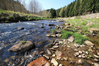 Schwarzwasser zwischen Erlabrunn und Johanngeorgenstadt. (1)