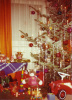 Vorfreude auf Weihnachten